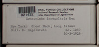 Image Associated With the Occurence